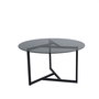 Hanah Home Trio Mesa de Centro de Cristal Templado Fume y Negro